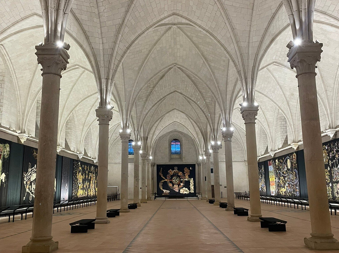 Musée Lurçat景点图片