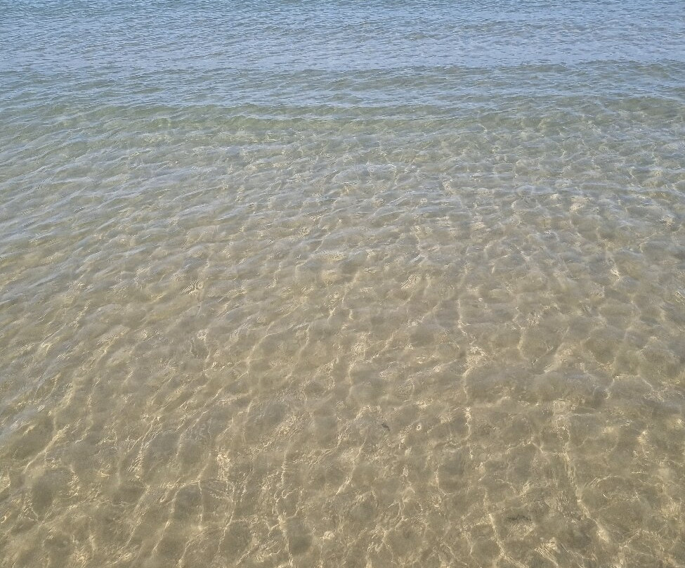 Playa de la Pineda景点图片