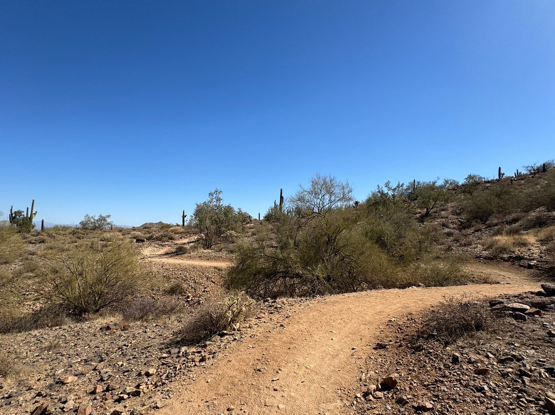 San Tan Mountain Regional Park-Queen Creek必去景点
