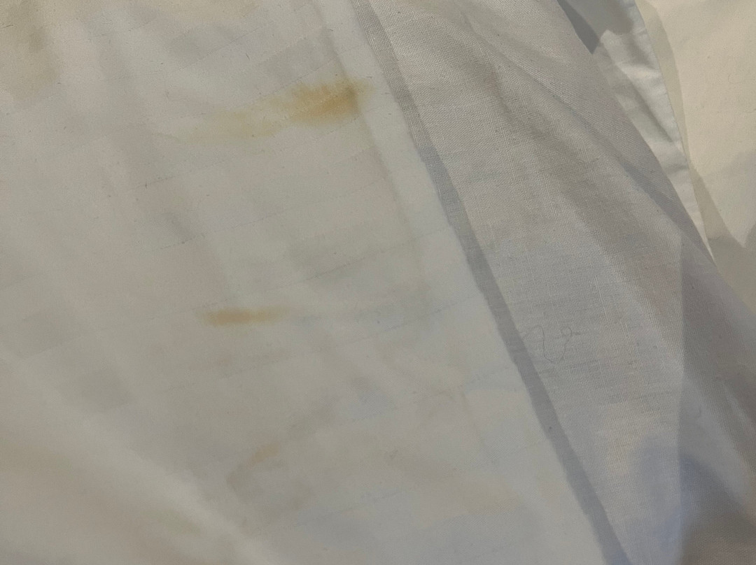 Cambridge Hotel and Conference Centre主图