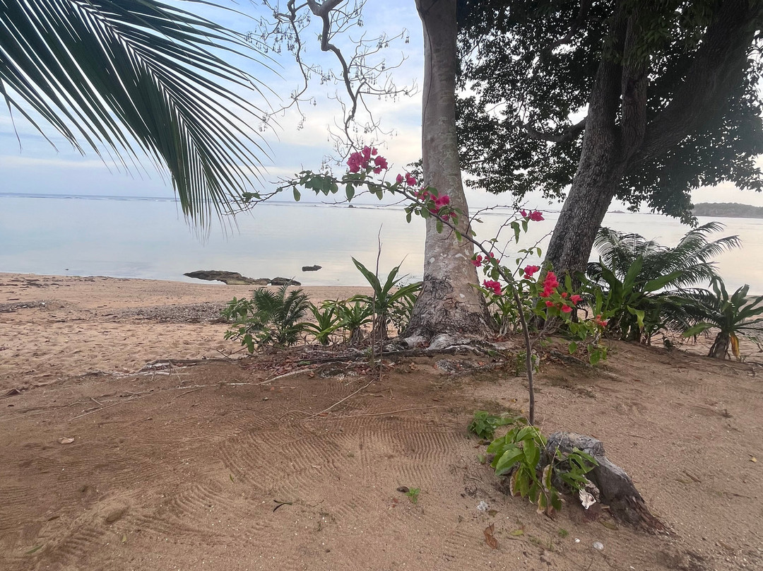 Cashew Grove Beach Resort主图