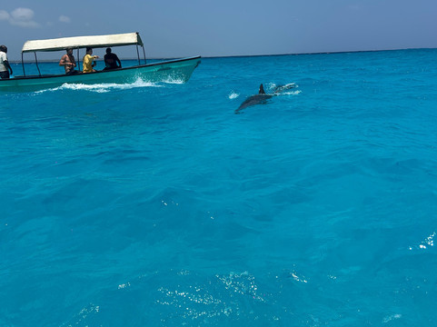 Zanzibar Ibrahim Tours-桑给巴尔市必去景点