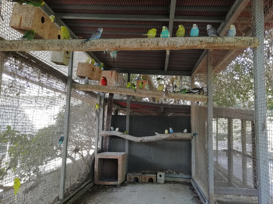 Birdpark Malta景点图片