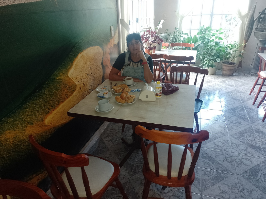 Hotel Avenida Termas主图