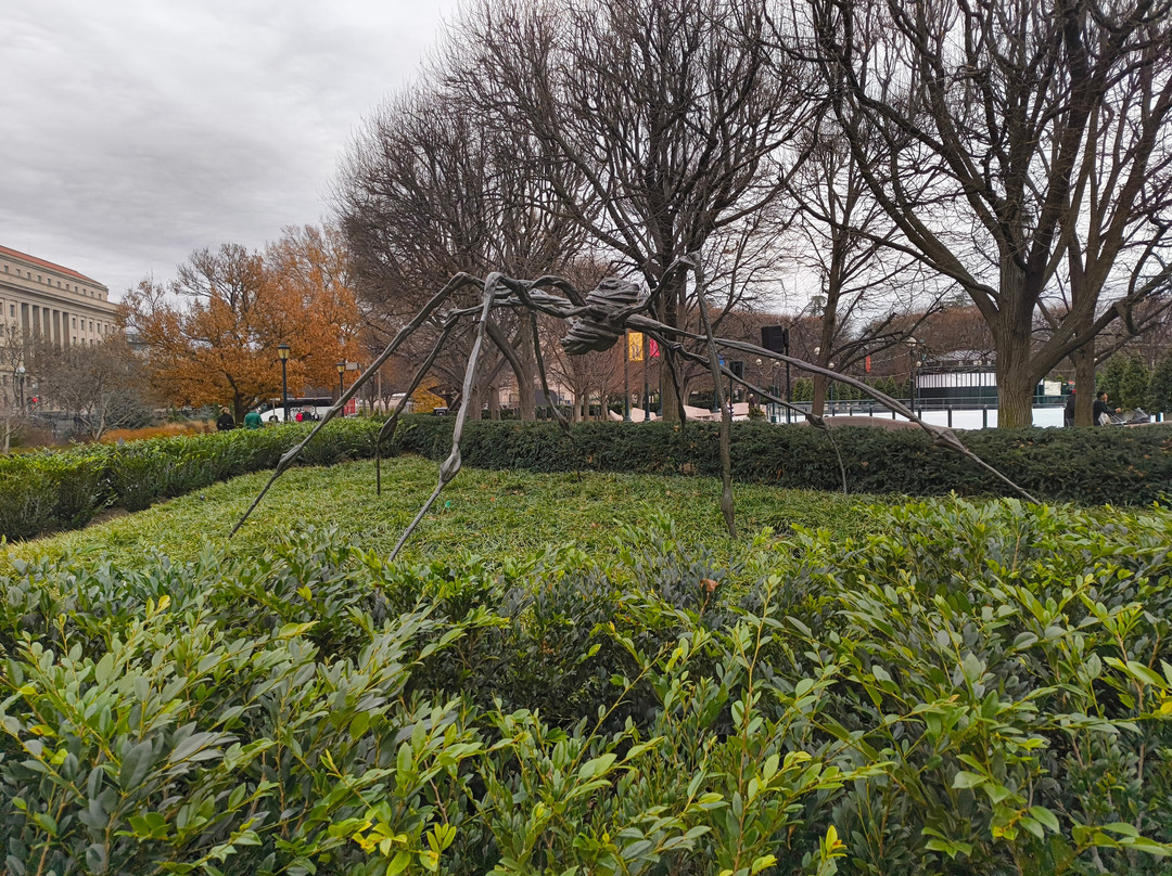 National Gallery of Art Sculpture Garden Ice Rink景点图片