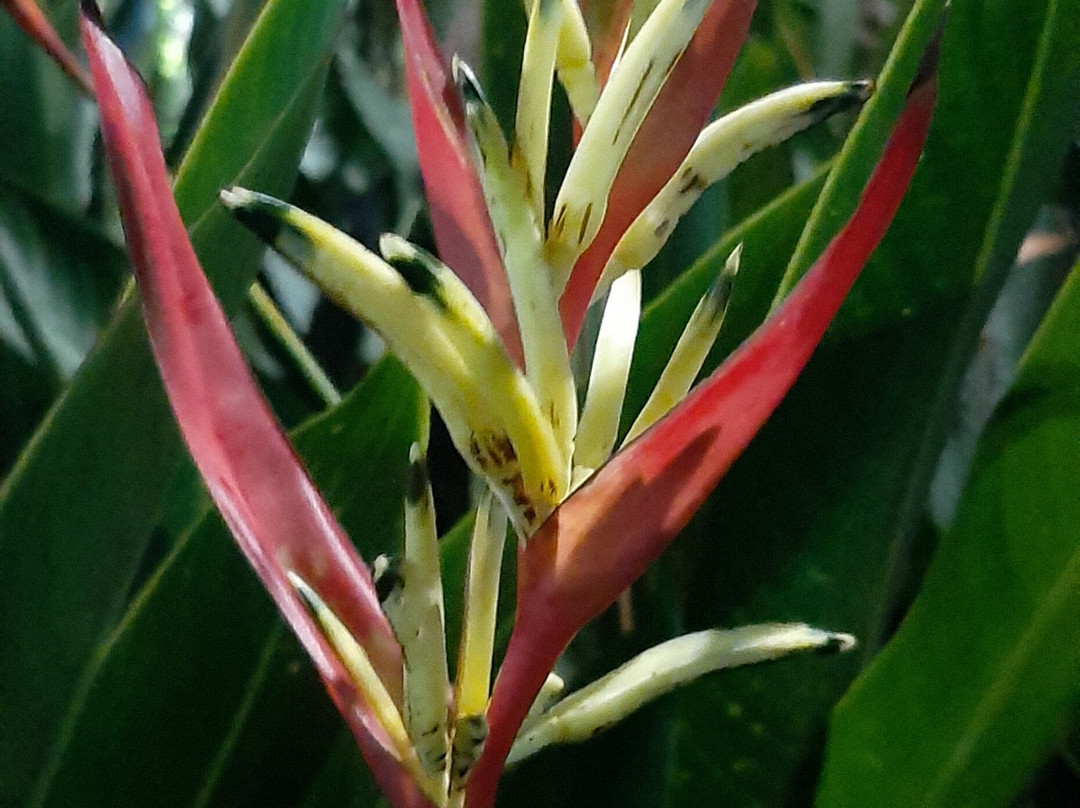 Hai Ba Trung Street-芹苴必去景点