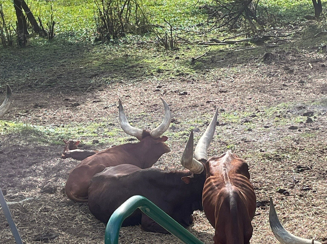Peace River Charters-阿卡迪亚必去景点
