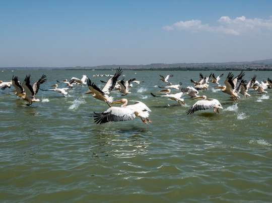 Highland Ethiopia Tours-贡德尔必去景点