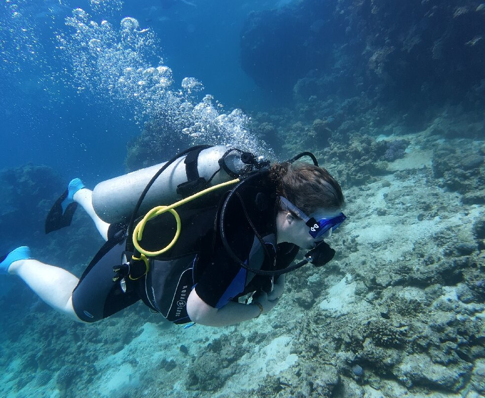 Dive with Luka-赫尔格达必去景点