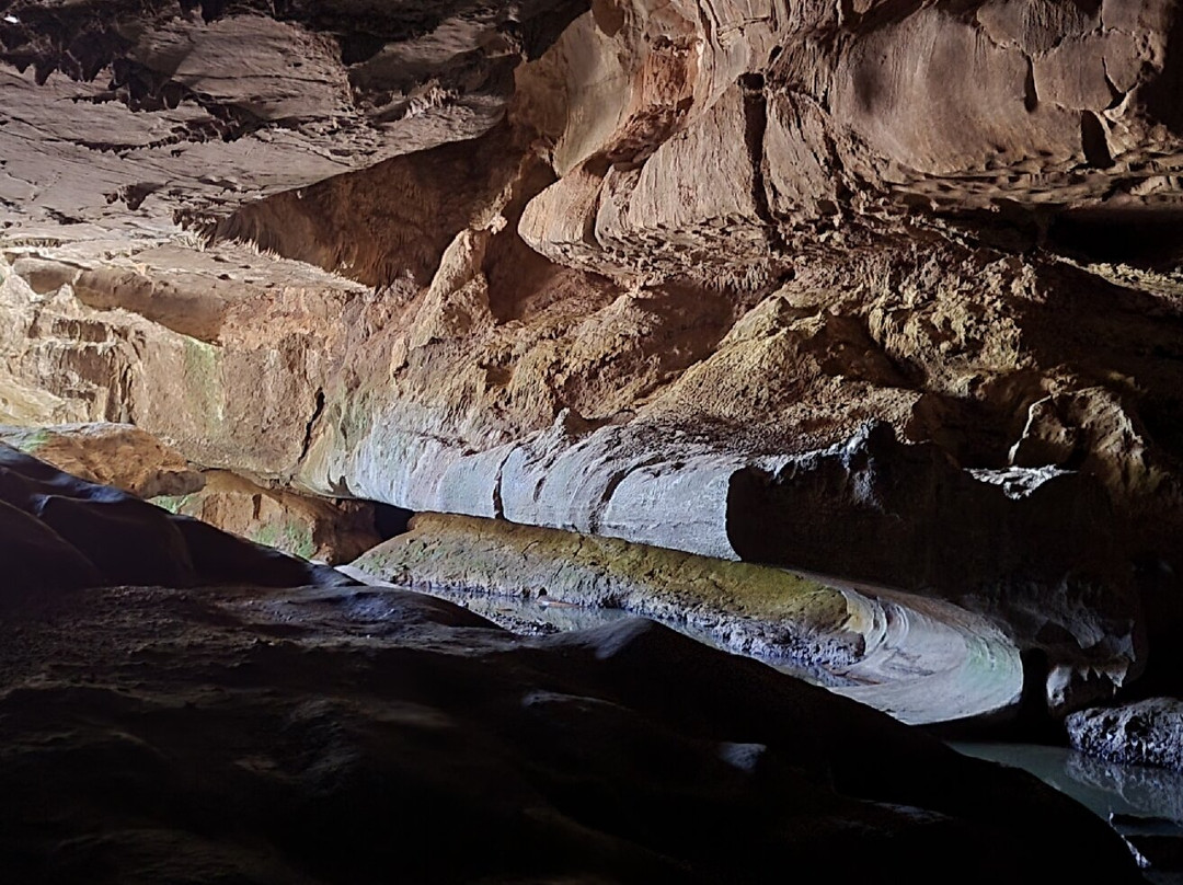 Waipu Caves Scenic Preserve景点图片