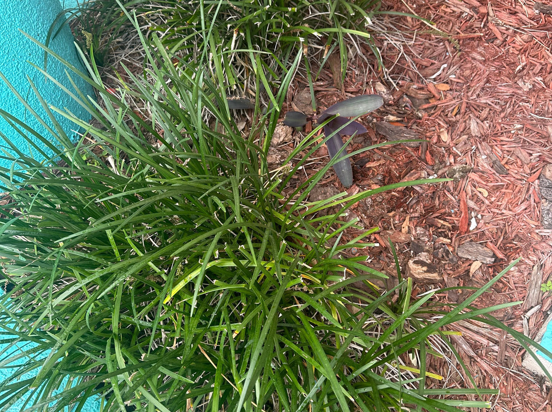 Howard Johnson By Wyndham Ocala Fl I-75主图