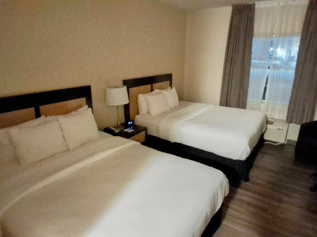 Quality Inn & Suites主图