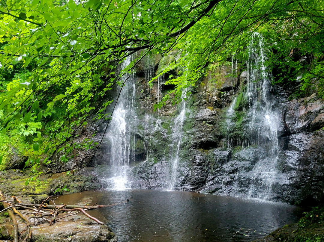Glenariff Forest Park景点图片