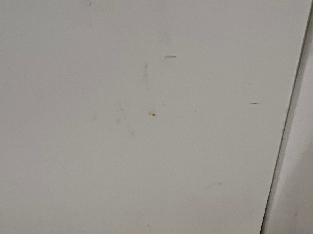 你和Co.萨莱尔海滩精品酒店主图