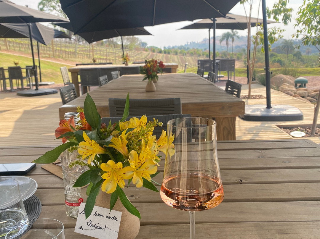 Vinícola Amana-Espirito Santo Do Pinhal必去景点