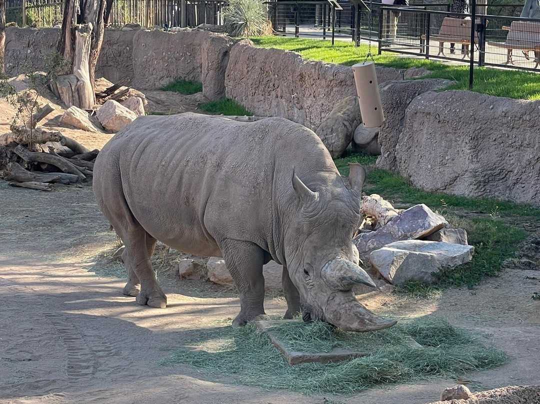Reid Park Zoo-图森必去景点