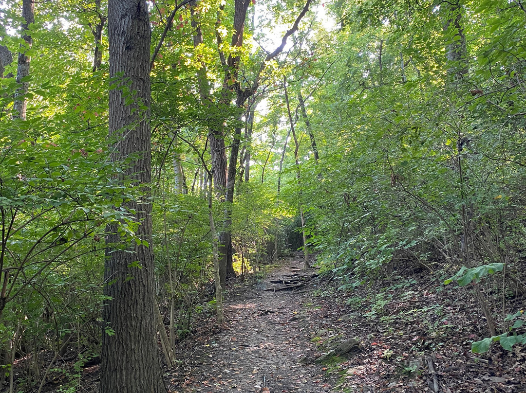 Ault Park-辛辛那提必去景点
