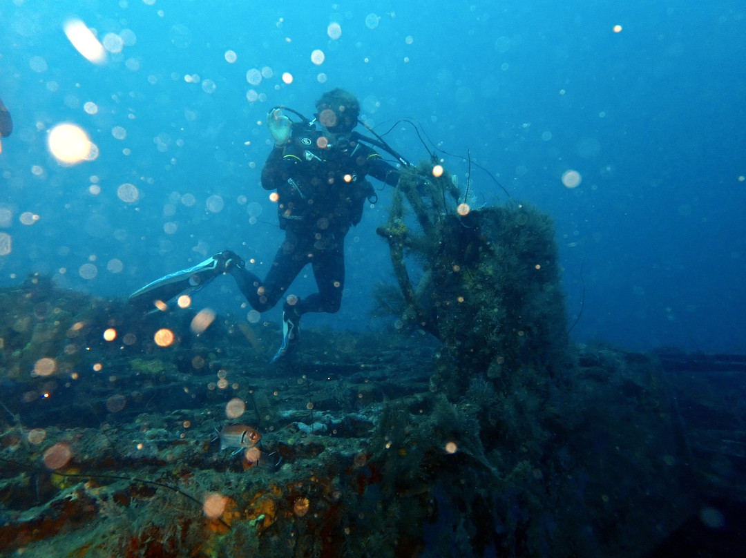 Deep Turtle Plongee-Les Anses d'Arlet必去景点