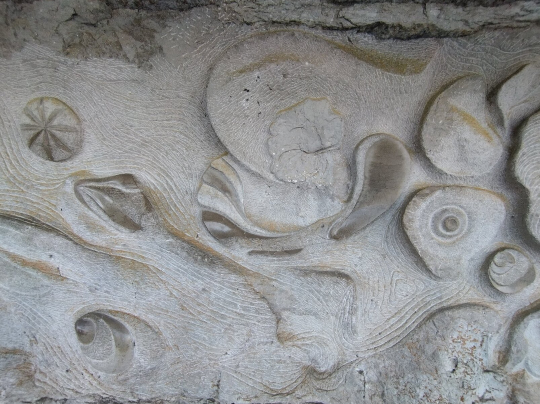 Tour In Périgord-萨尔拉必去景点