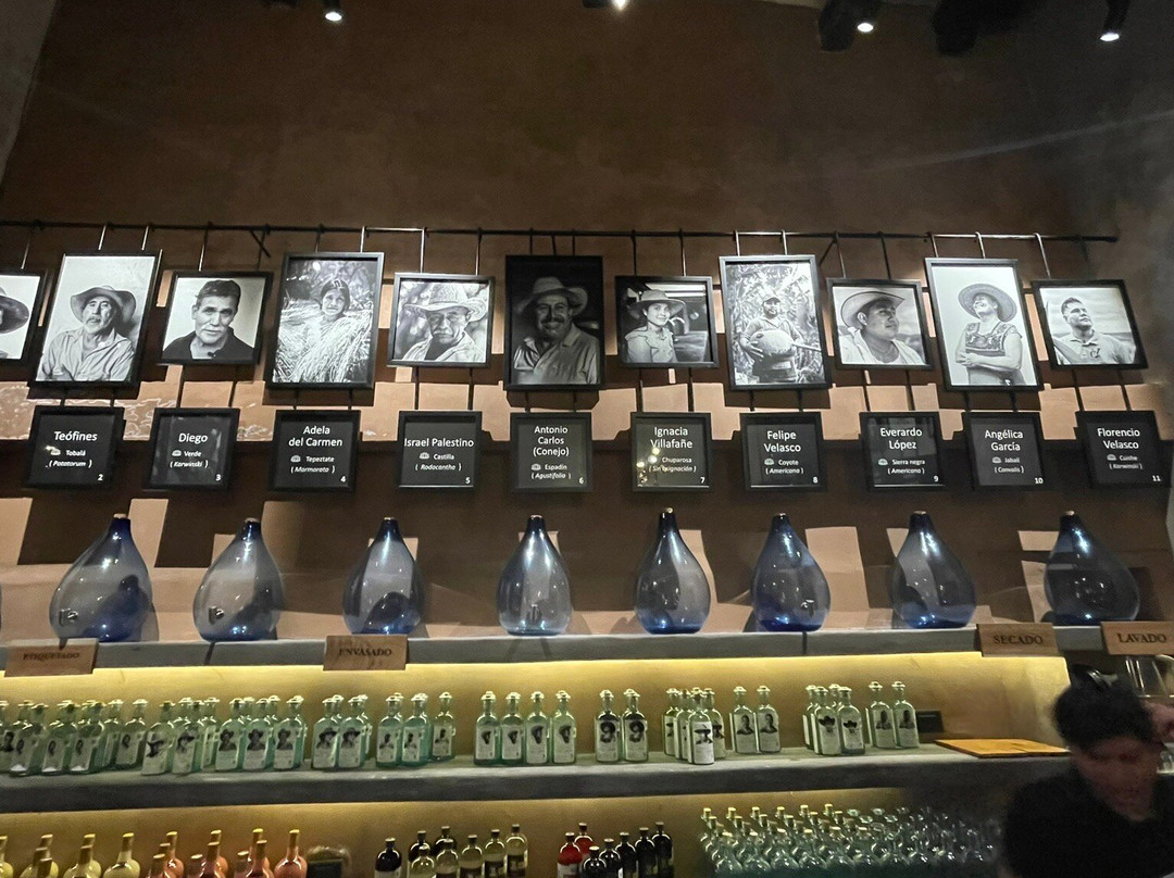 Xoul Art & Mezcal-巴利亚多利德必去景点