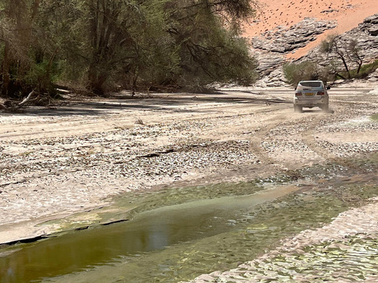 M.A.D Travel & Tours-斯瓦科普蒙德必去景点