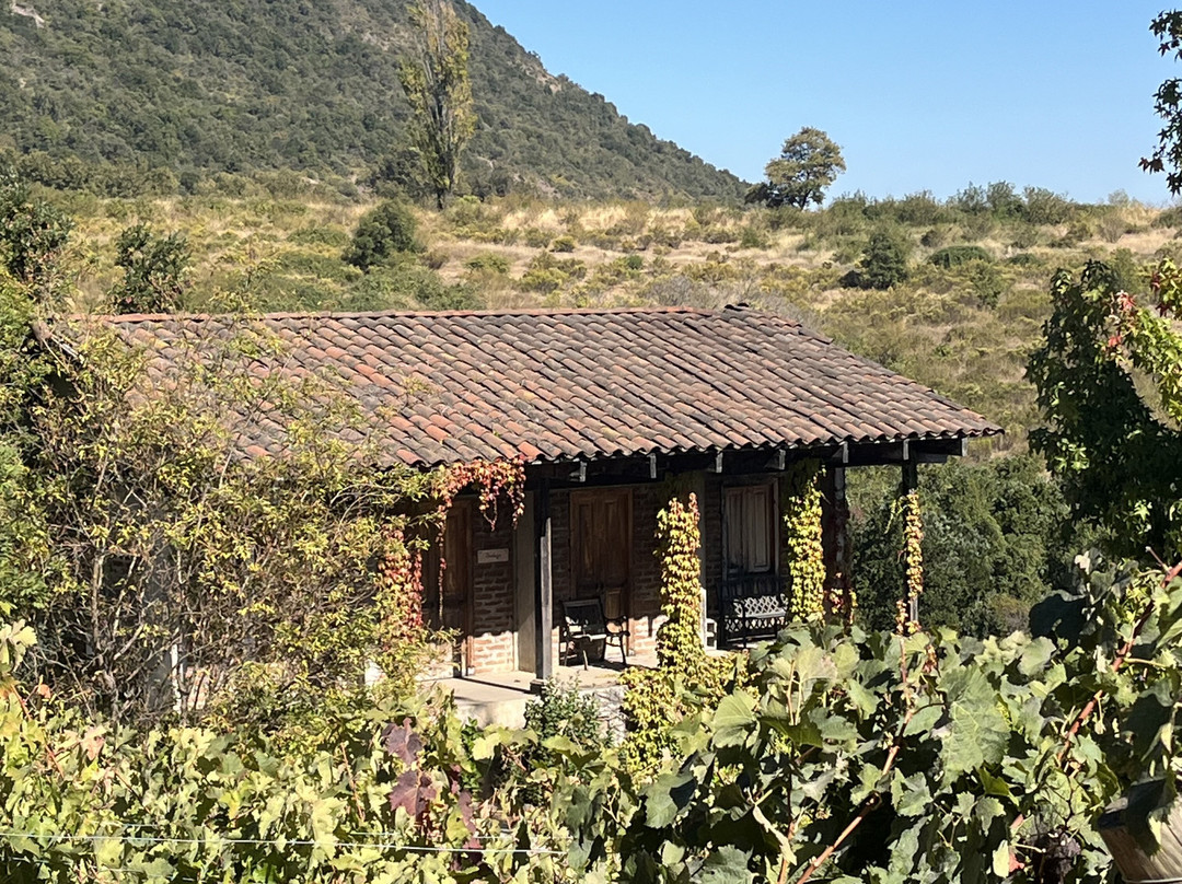 Experiencia Laberinto-Colbun必去景点