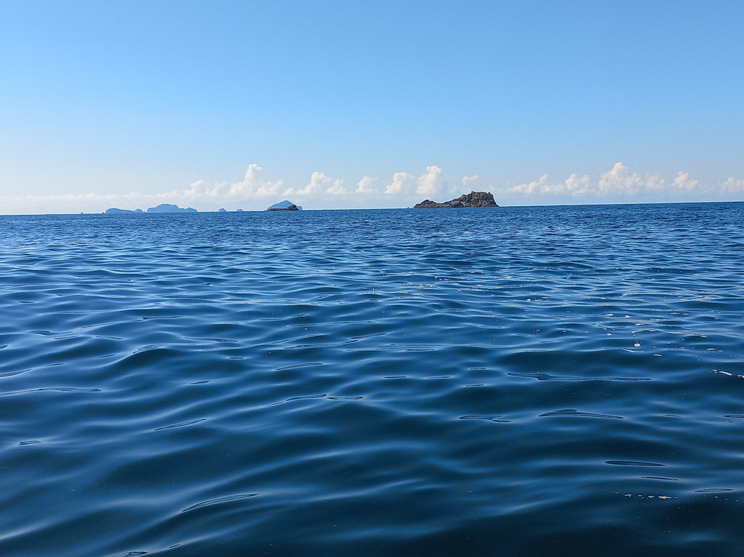 Coromandel Ocean Adventures-Tairua必去景点