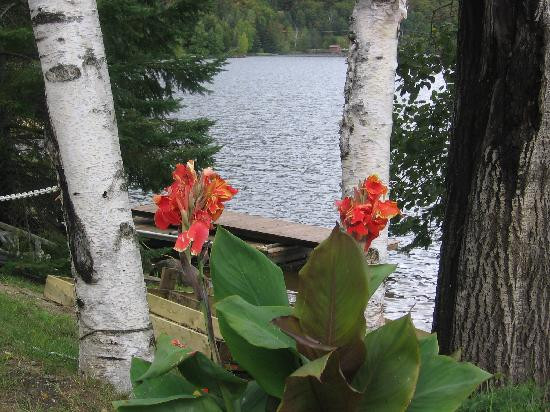 Auberge Rustique主图