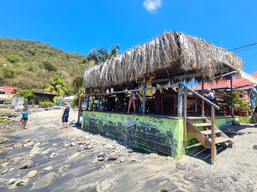 German Butterfly-Pointe-a-Pitre必去景点