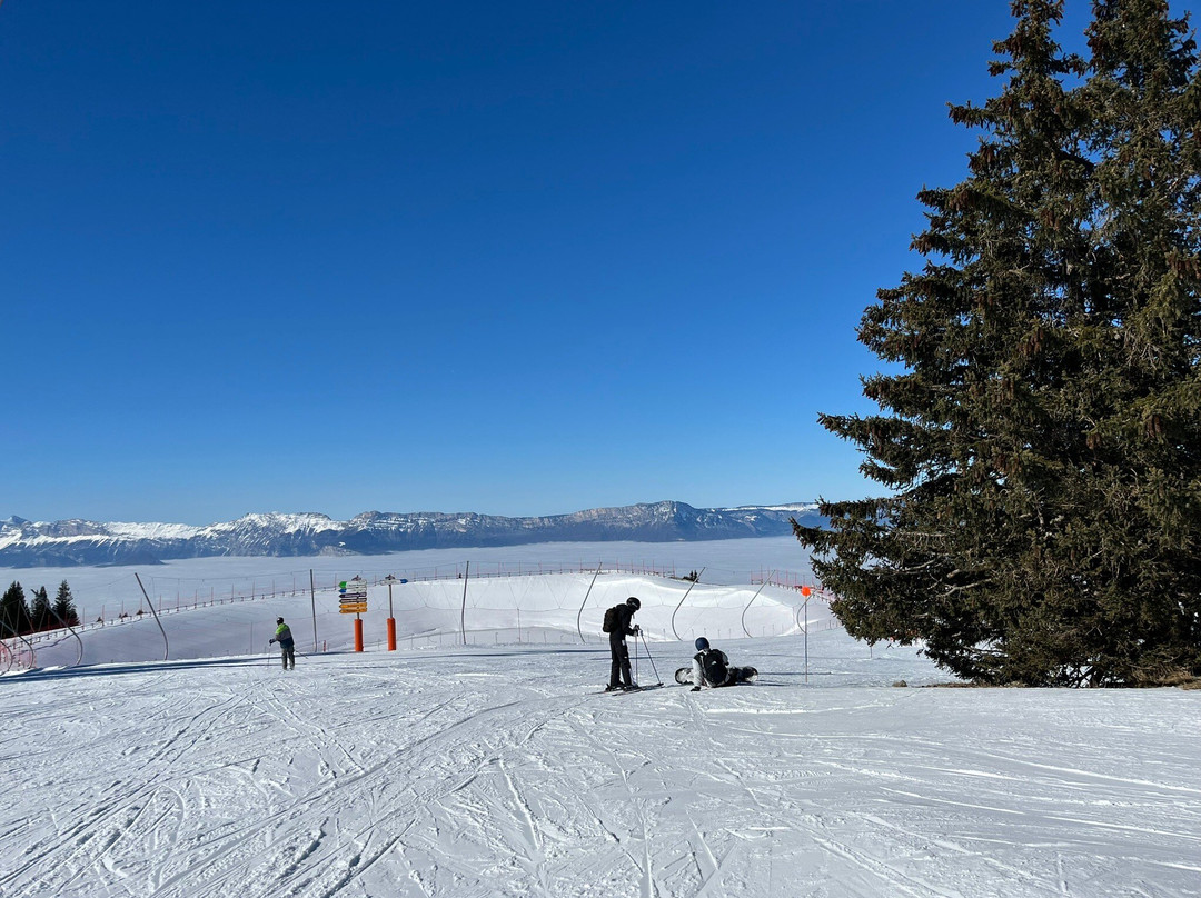 Chamrousse Alpes - France 1700景点图片