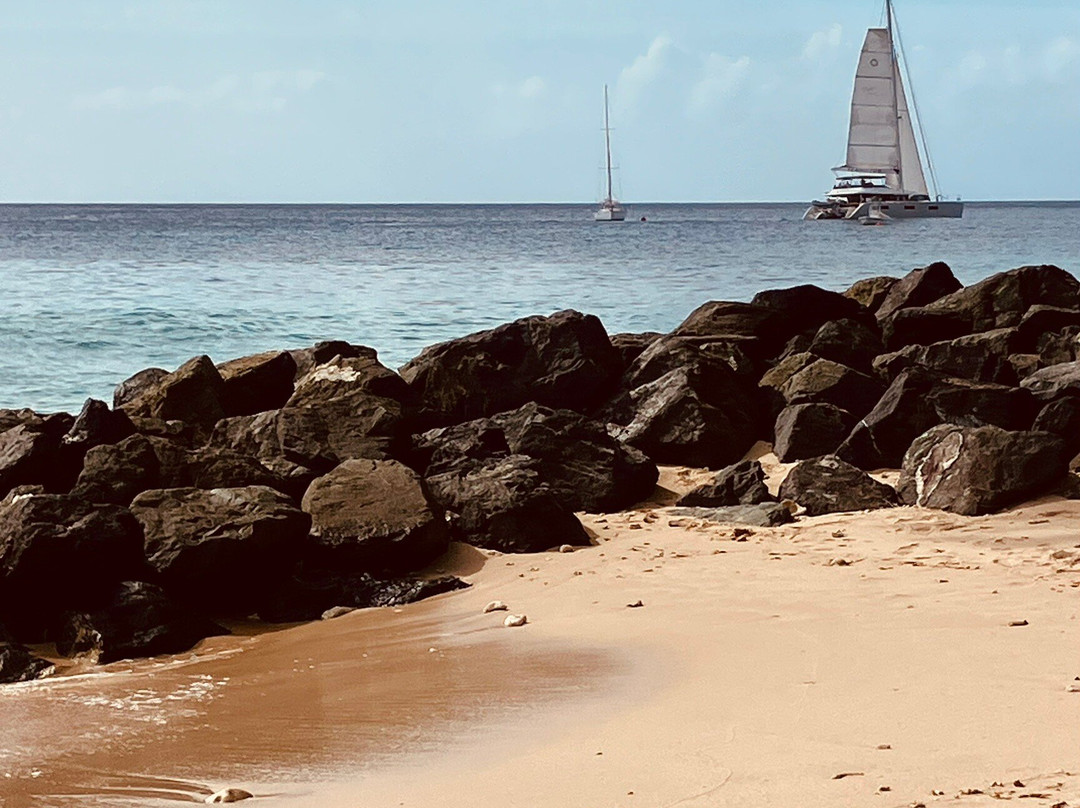 Folkestone Marine Park & Visitor Centre-Holetown必去景点