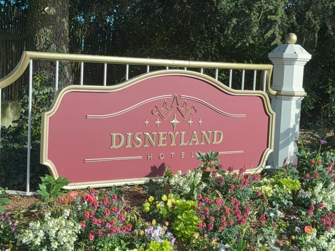 Paris Disney Transfer景点图片
