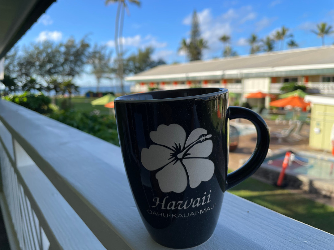 考爱岛海岸水上酒店主图