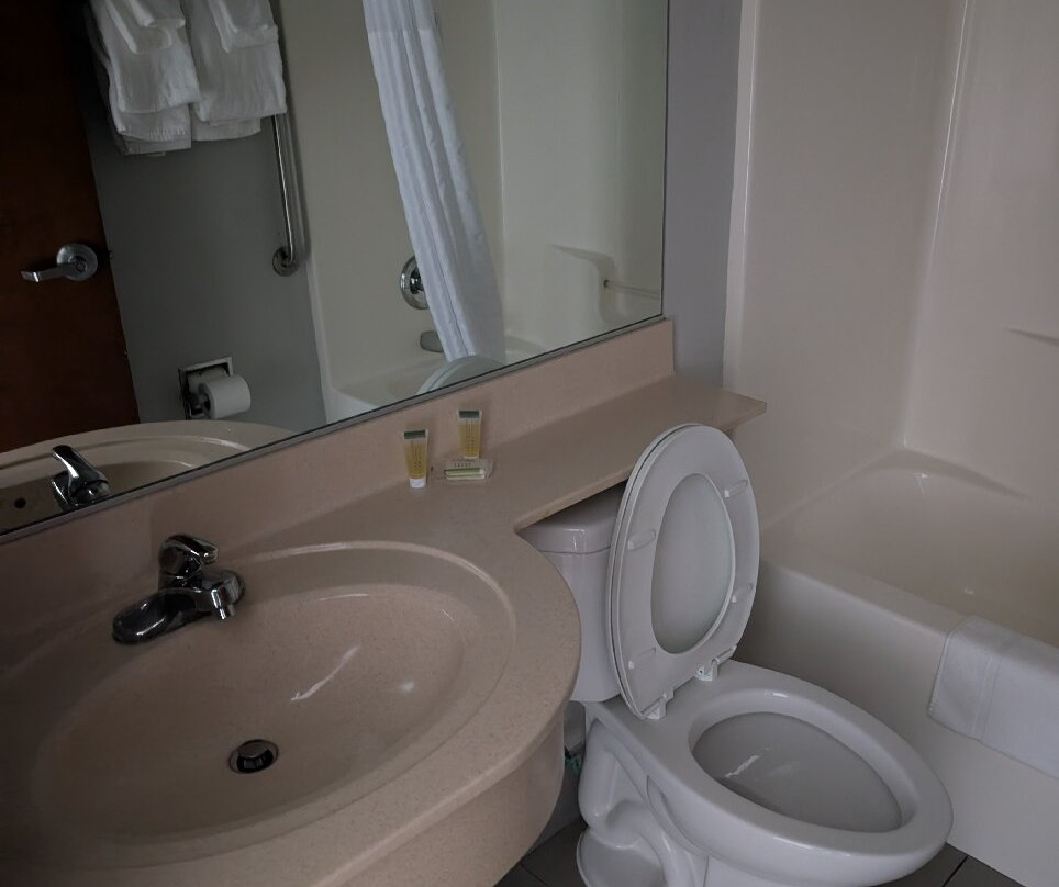 大学医学园区温德姆麦克罗特套房酒店主图