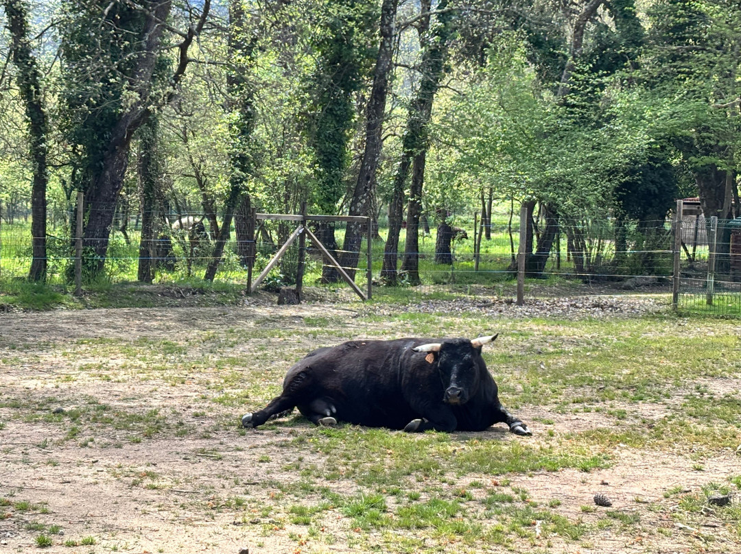 La Ferme D'idefix景点图片