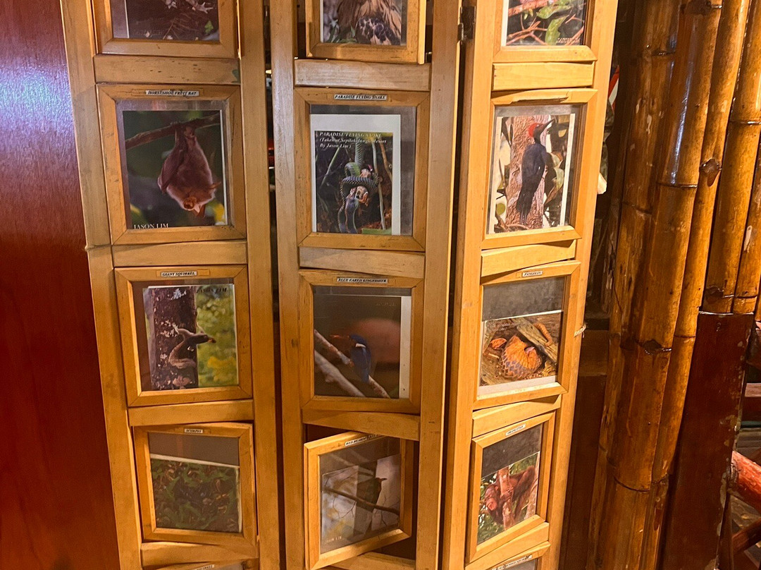 西必洛森林度假村主图