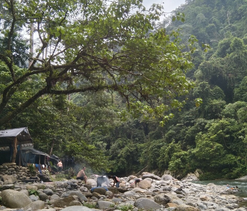 Bukit lawang orangutan trekking-武吉拉旺必去景点