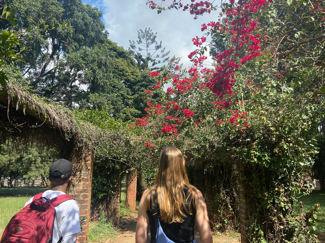 Free Walking Tour Harare-哈拉雷必去景点