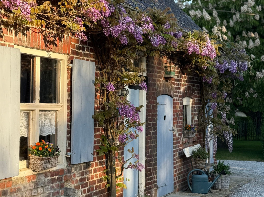 Hof ter Heebeke B&B主图