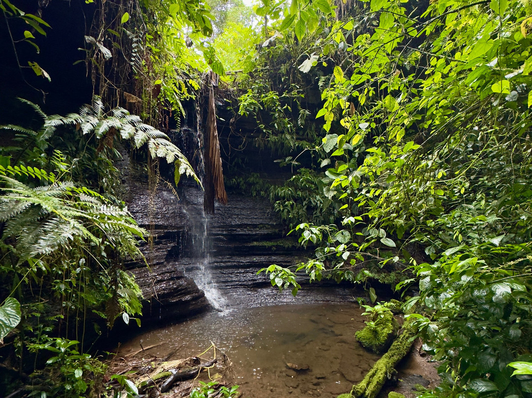 Hostal Tena Ñaui主图