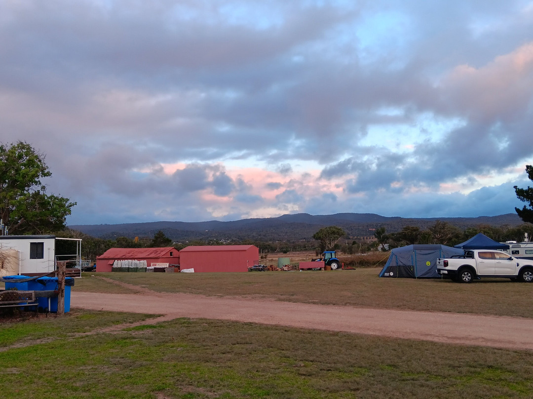 Mountview Winery景点图片
