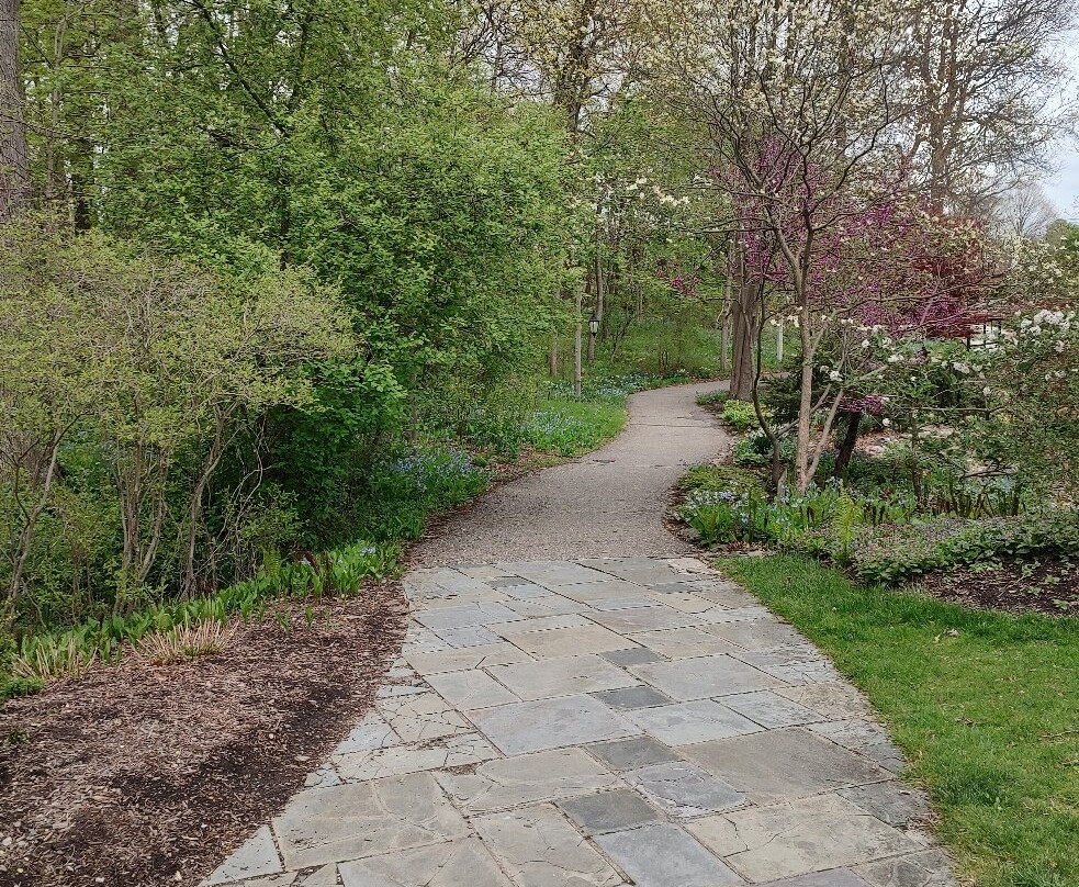 Meadow Brook Hall-罗切斯特必去景点