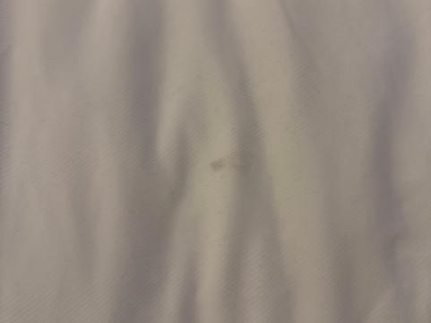 国会大厦塔拉哈西大学万豪AC酒店主图