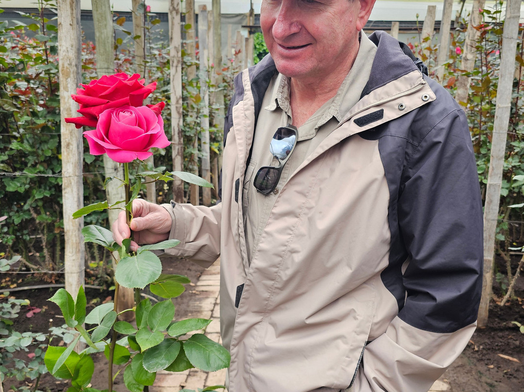 Let's Go to Ecuador-基多必去景点