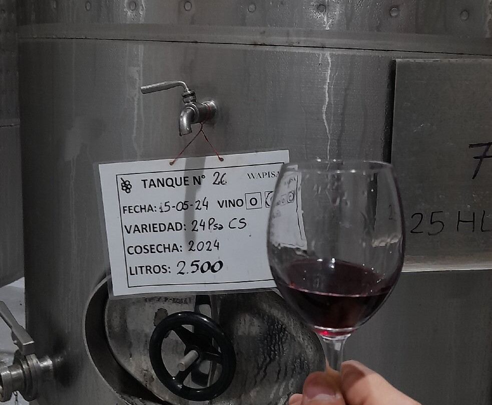 Wapisa Winery-Viedma必去景点