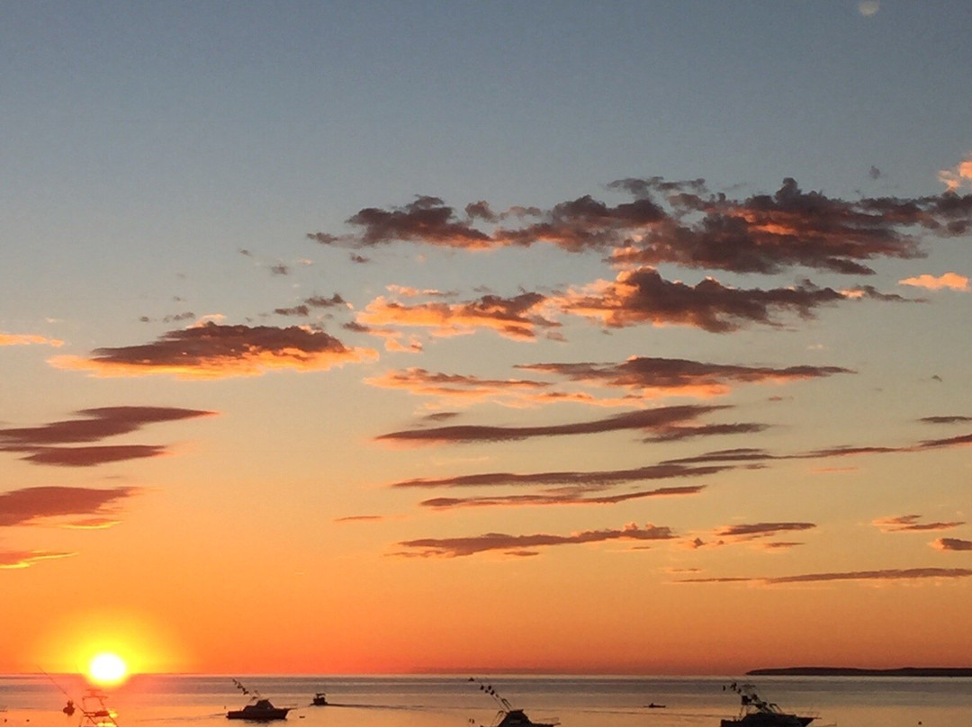 Hotel Palmas De Cortez主图