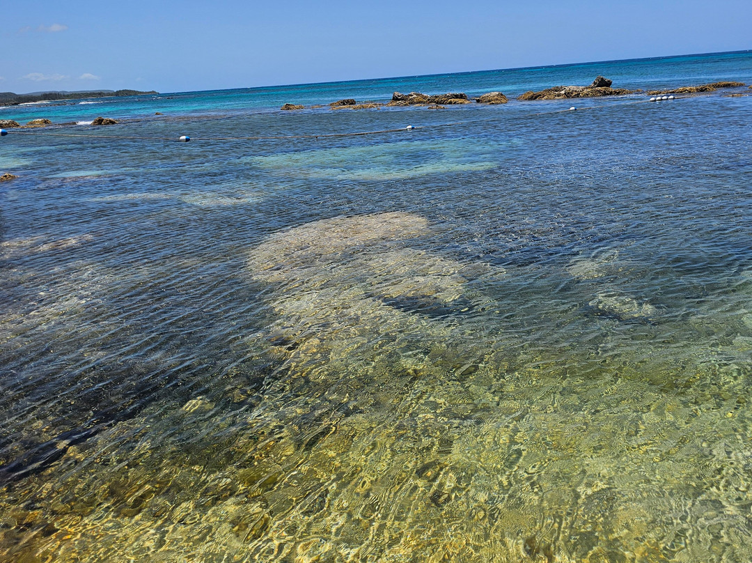 Blue Waters Beach Club-法尔茅斯必去景点