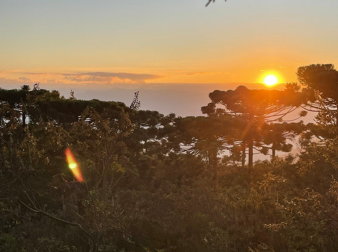 Auditório Claudio Santoro-坎普斯－杜若尔当必去景点