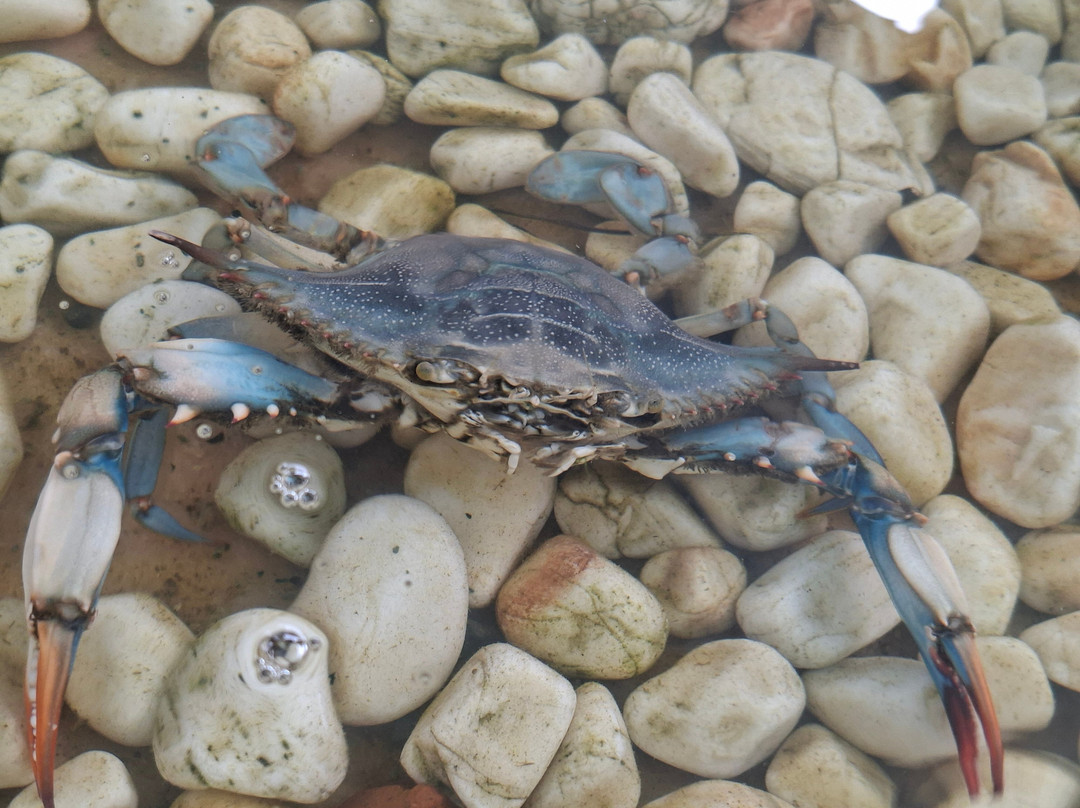 Kardak Tourism-达利安必去景点