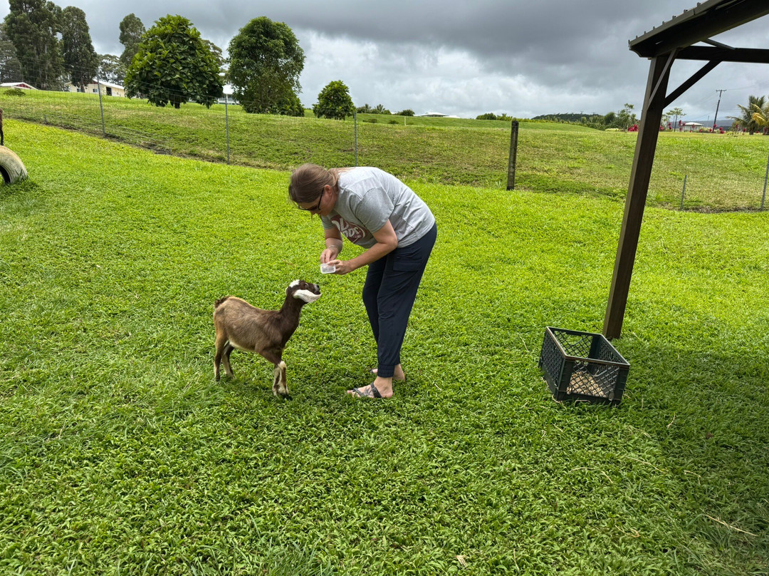 Honomu Goat Dairy-哈诺姆必去景点